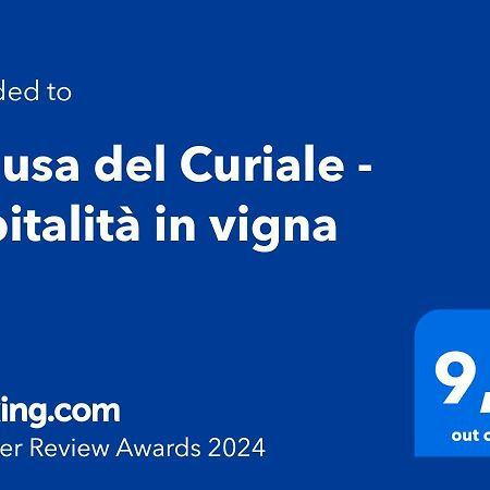 مبيت وإفطار كوميزو Chiusa Del Curiale - Ospitalita In Vigna المظهر الخارجي الصورة